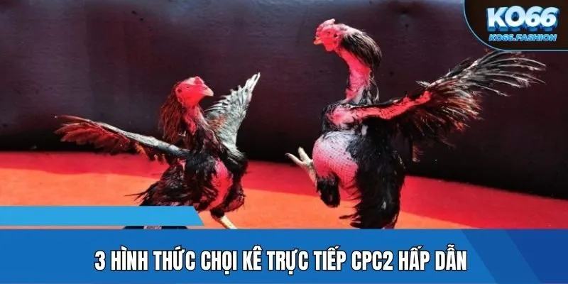 3 hình thức chọi kê trực tiếp CPC2 hấp dẫn