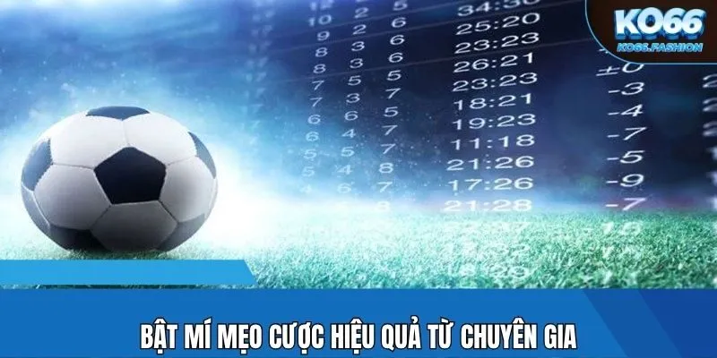 Bật mí mẹo cược hiệu quả từ chuyên gia