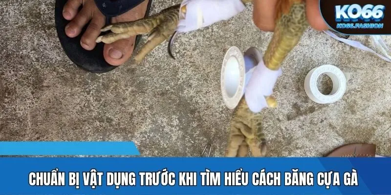 Chuẩn bị vật dụng trước khi tìm hiểu cách băng cựa gà