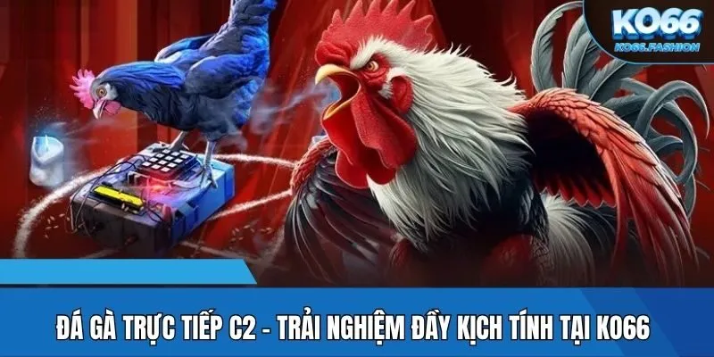 Đá gà trực tiếp C2