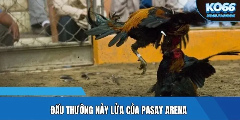 Đấu thường nảy lửa của Pasay Arena