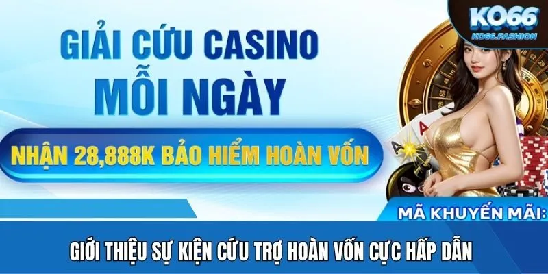 Giới thiệu sự kiện cứu trợ hoàn vốn cực hấp dẫn