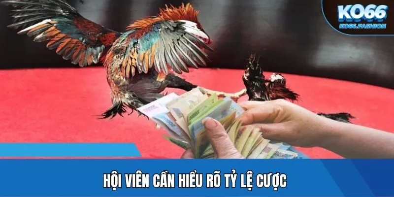 Hội viên cần hiểu rõ tỷ lệ cược