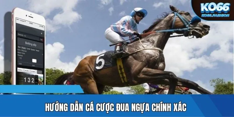 Hướng dẫn cá cược đua ngựa chính xác