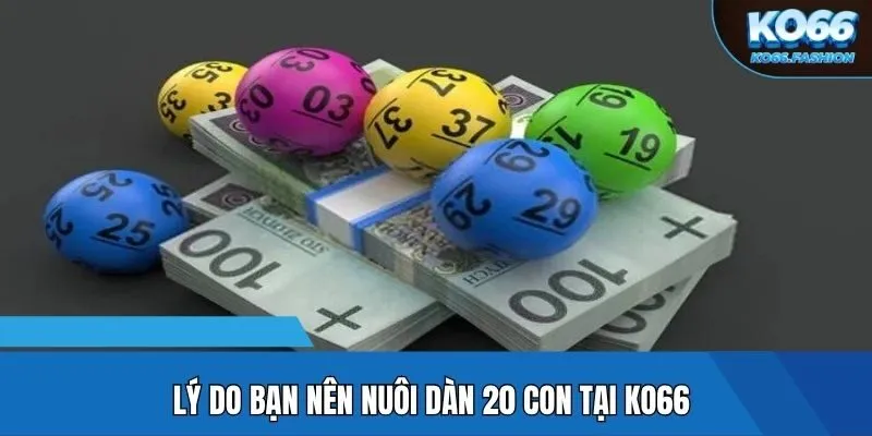 Lý do bạn nên nuôi dàn 20 con tại KO66