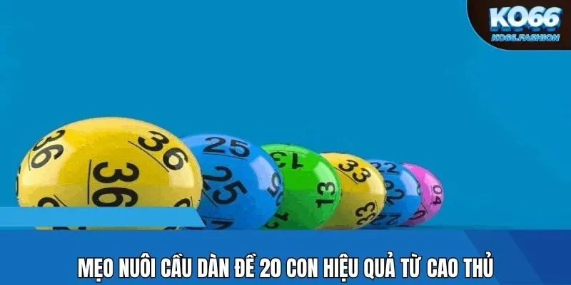 Mẹo nuôi cầu dàn đề 20 con hiệu quả từ cao thủ