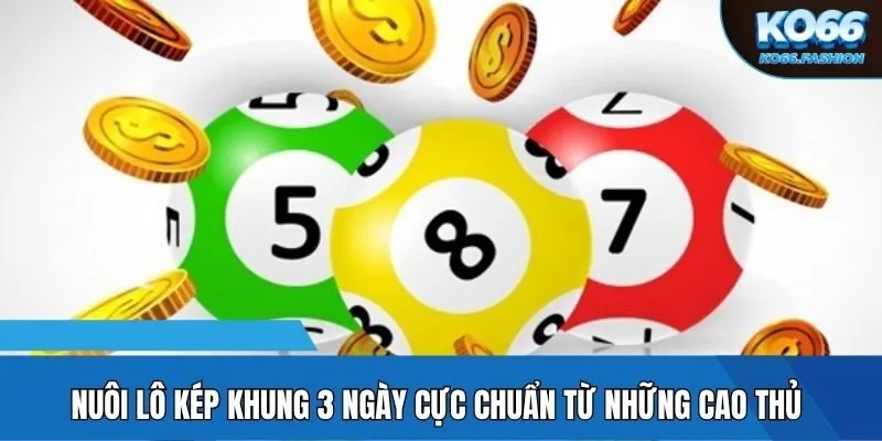 Nuôi lô kép khung 3 ngày