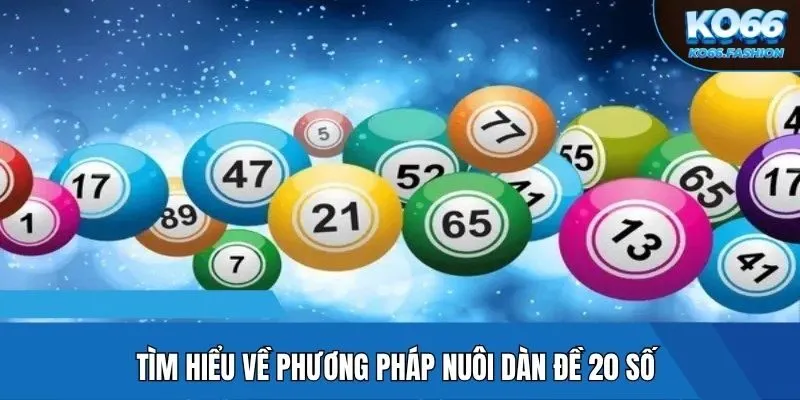 Tìm hiểu về phương pháp nuôi dàn đề 20 số